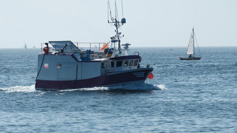 Морская рыбалка на курорте: как организовать