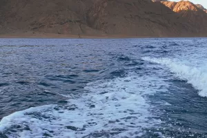 Хургада или Марса-Алам: какой курорт Красного моря выбрать