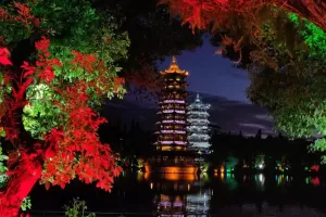 Новые направления