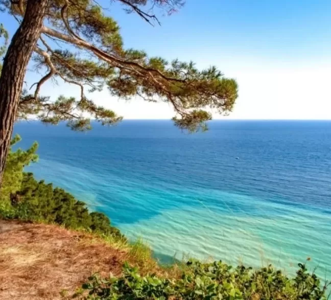 Краснодарский Край