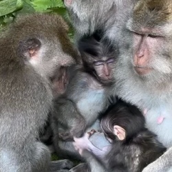 День 15. Отъезд по домам