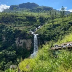 День 4. Nuwara Eliya, Чайная фабрика, Ella