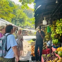 День 1. Прилет, трансфер в отель, слоны