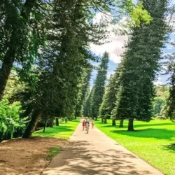 День 4. Культурный центр острова — Канди