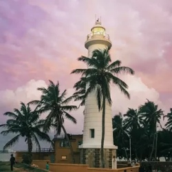День 6. День 6. Морские черепахи и дикая природа