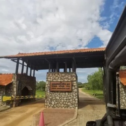 День 7. Водопад и древний парк Яла