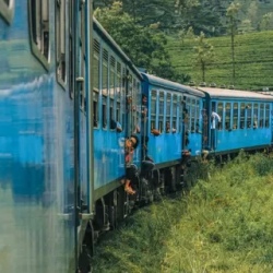 День 13. Отъезд домой
