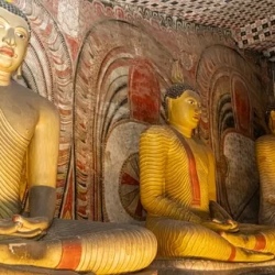 День 4. Дамбулла + переезд в Канди