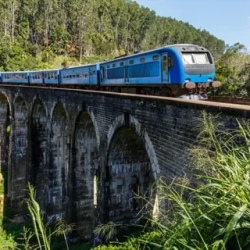 День 5. Нувара Элия Элла Яла