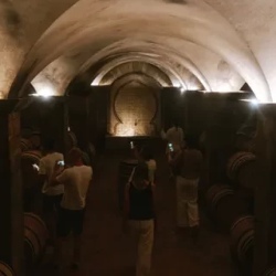 День 4. Дегустация Premier Cru вина