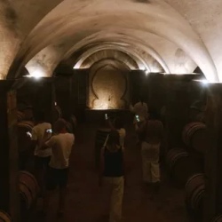День 4. Дегустация Premier Cru вина