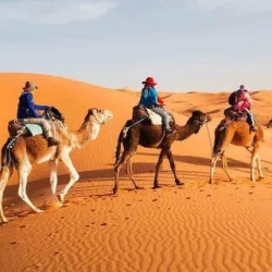 День 5. Fes - Ilfrane - Azrou - Midelt - Merzouga - Camel