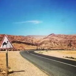 День 5. Ouarzazate - Marrakech