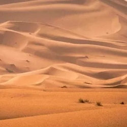 День 6. Fez - Ifrane - Midelt - Ziz Valley - Merzouga