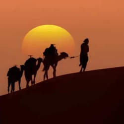 День 7. Merzouga Area and Camel Trek