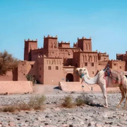 День 7. Dades Valley – Roses Valley – Ait Ben Haddou Kasba