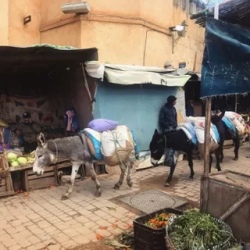 День 2. Фес: Город, где остановилось время