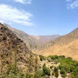 День 7. Зеленое сердце Атланта.