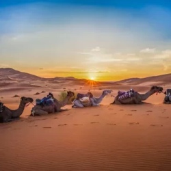 День 1. Fes - Ifrane - Midelt - Merzouga