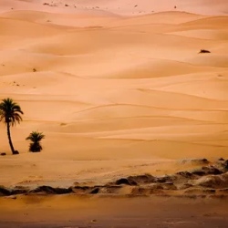 День 1. Fes - Ifrane - Midelt - Merzouga