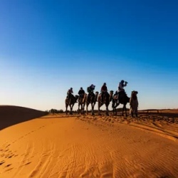 День 4. Merzouga Desert – Todra Gorges – Dades Valley