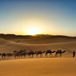 День 5. Merzouga – Rissani – Todra Gorges – Dades Valley
