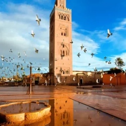 День 7. Marrakech – Casablanca Airport