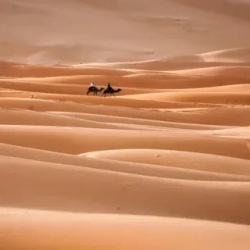 День 1. Fes – Ifrane – Azrou – Ziz Valley – Merzouga