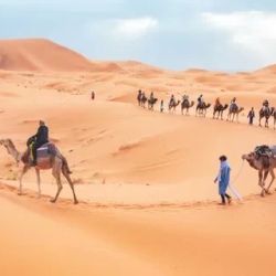 День 1. Fes – Ifrane – Azrou – Ziz Valley – Merzouga