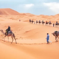 День 1. Fes Ifrane Midelt Ziz Valley Merzouga Desert