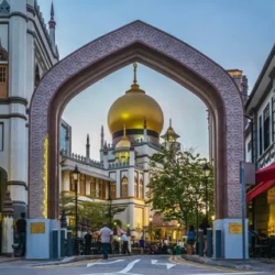 День 7. Индия, Аравия и колесо обозрения (Сингапур).