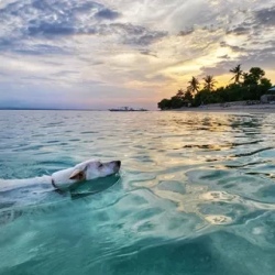 День 8. Остров Нуса Пенида. Diamond beach