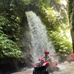 День 6. Action Vacation В Убуде
