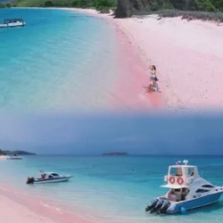 День 3. 3 дня - Комодо. Там, где живут драконы