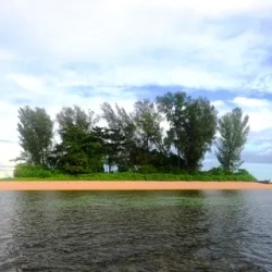 День 5. Китовые акулы, снорклинг, дайвинг
