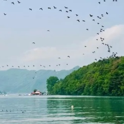 День 3. Остров Нами и Сад Утреннего спокойствия