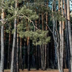 День 7. Путь Самурая