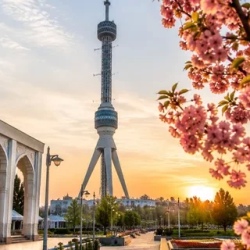 День 7. Токио