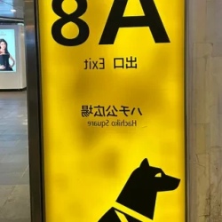 День 8. Токио контрастов