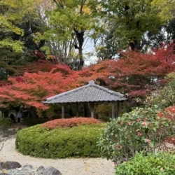 День 6. Нара