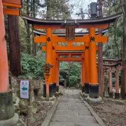 День 5. Киото: сердце традиционной Японии
