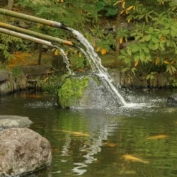 День 11. Финиш
