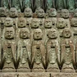 День 11. Финиш