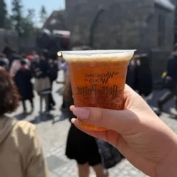 День 3. Universal Studios Japan