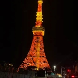 День 7. Токио: Гинза, Шибуя, Хатико, Shibuya Sky