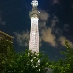 День 1. Токио. День прилета.