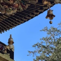 День 3. Экскурсия в Камакуру