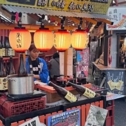 День 4. Свободный день или экскурсия к Фудзи
