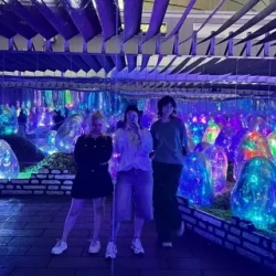 День 12. Интерактивный музей Teamlab и остров Одайба