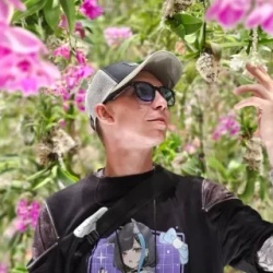 День 12. Интерактивный музей Teamlab и остров Одайба